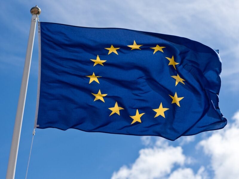 L’Unione Europea Rafforza la Lotta Contro la Deforestazione con Nuove Regole Stringenti