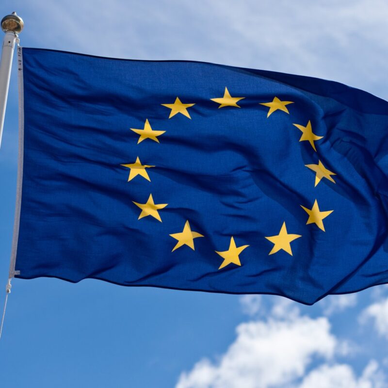 L’Unione Europea Rafforza la Lotta Contro la Deforestazione con Nuove Regole Stringenti
